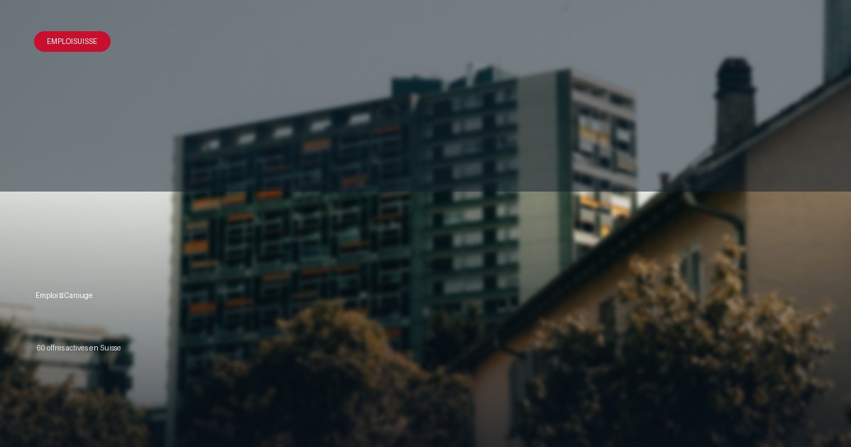 Ville de Carouge en Suisse - offres d'emploi