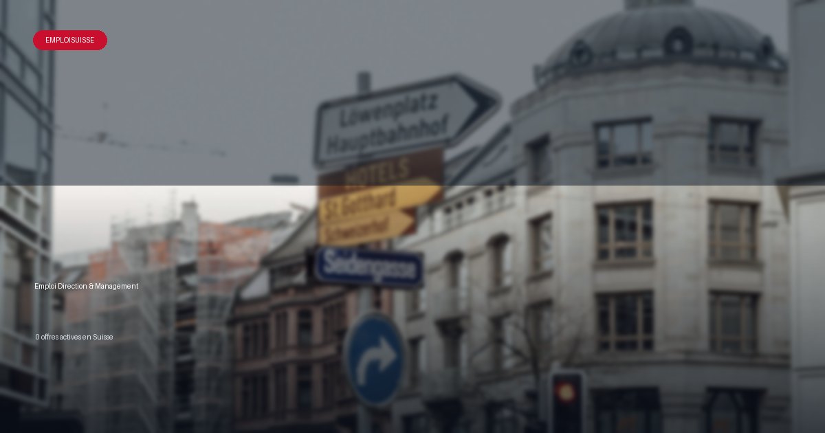 Secteur Direction & Management en Suisse - offres d'emploi