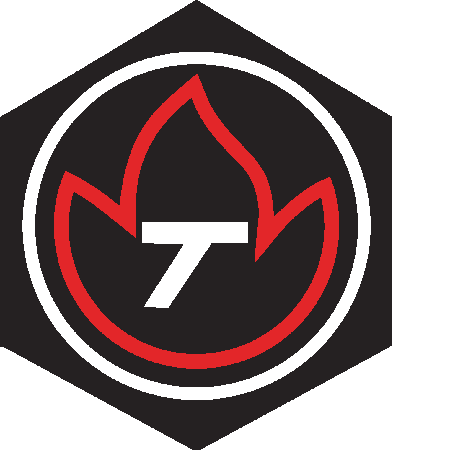 Logo Tecnoservice Engineering S.A.