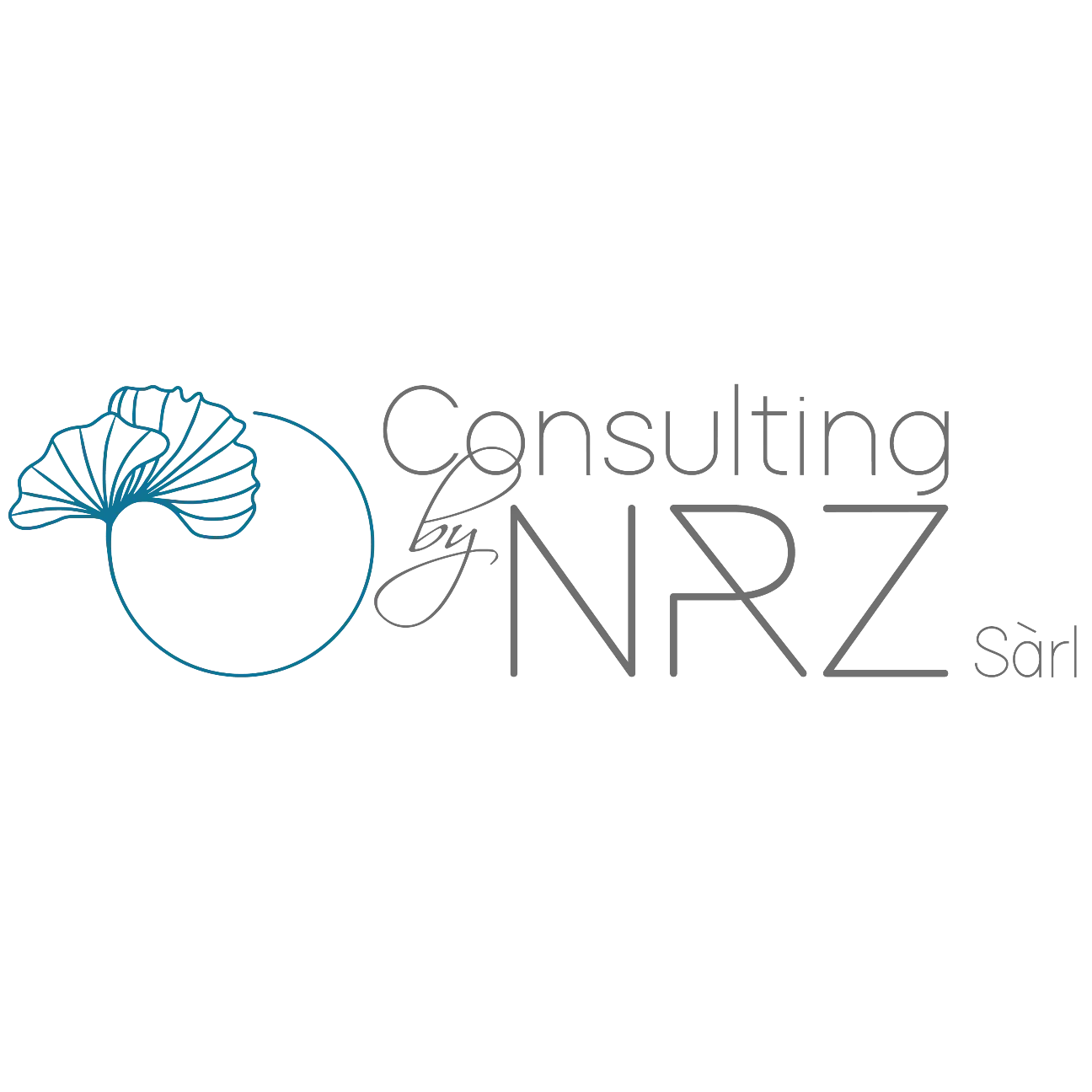 Logo Consulting by NRZ Sàrl