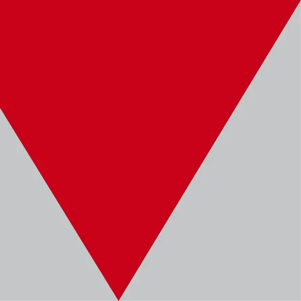 Logo Valion AG