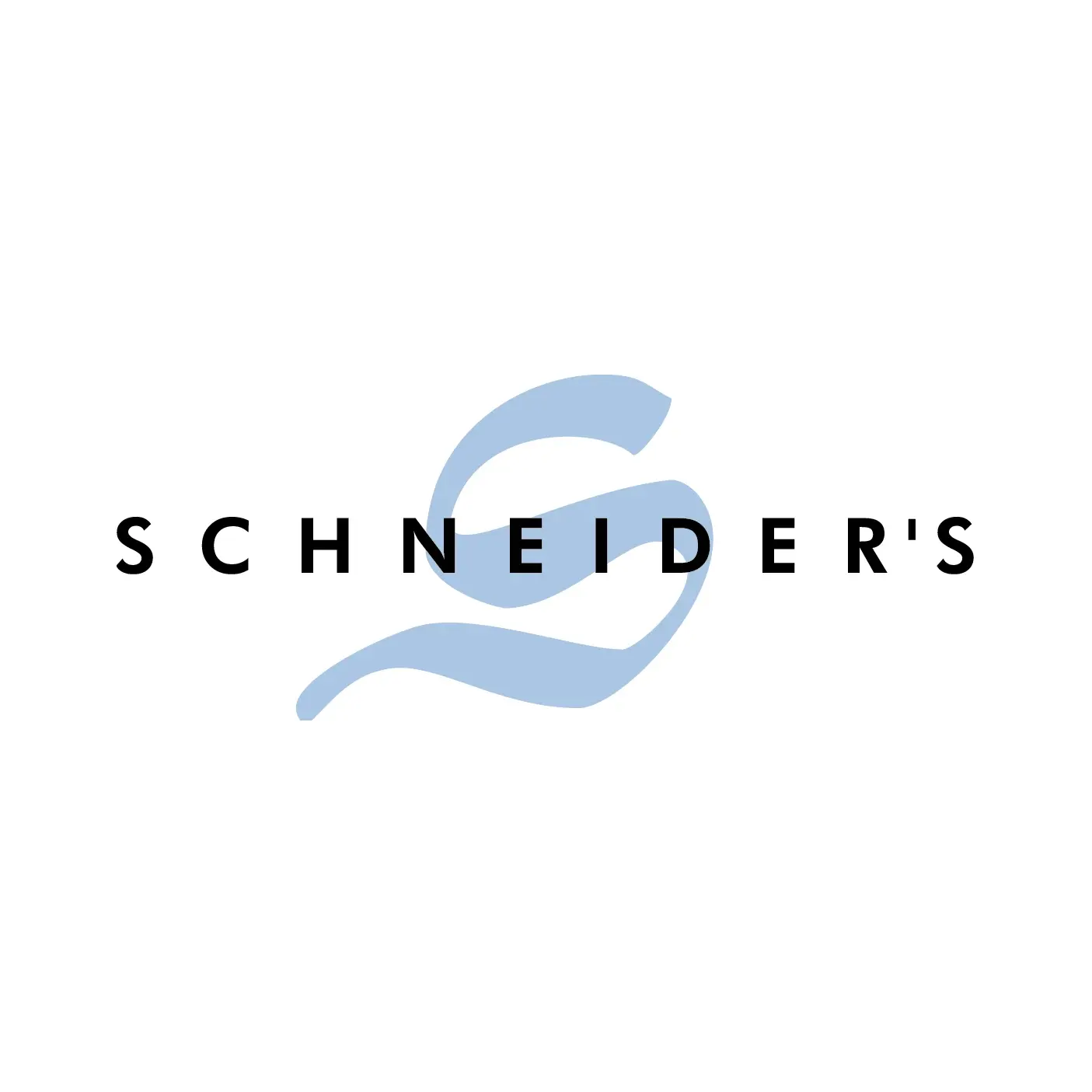 Logo Merz Schneider's AG
