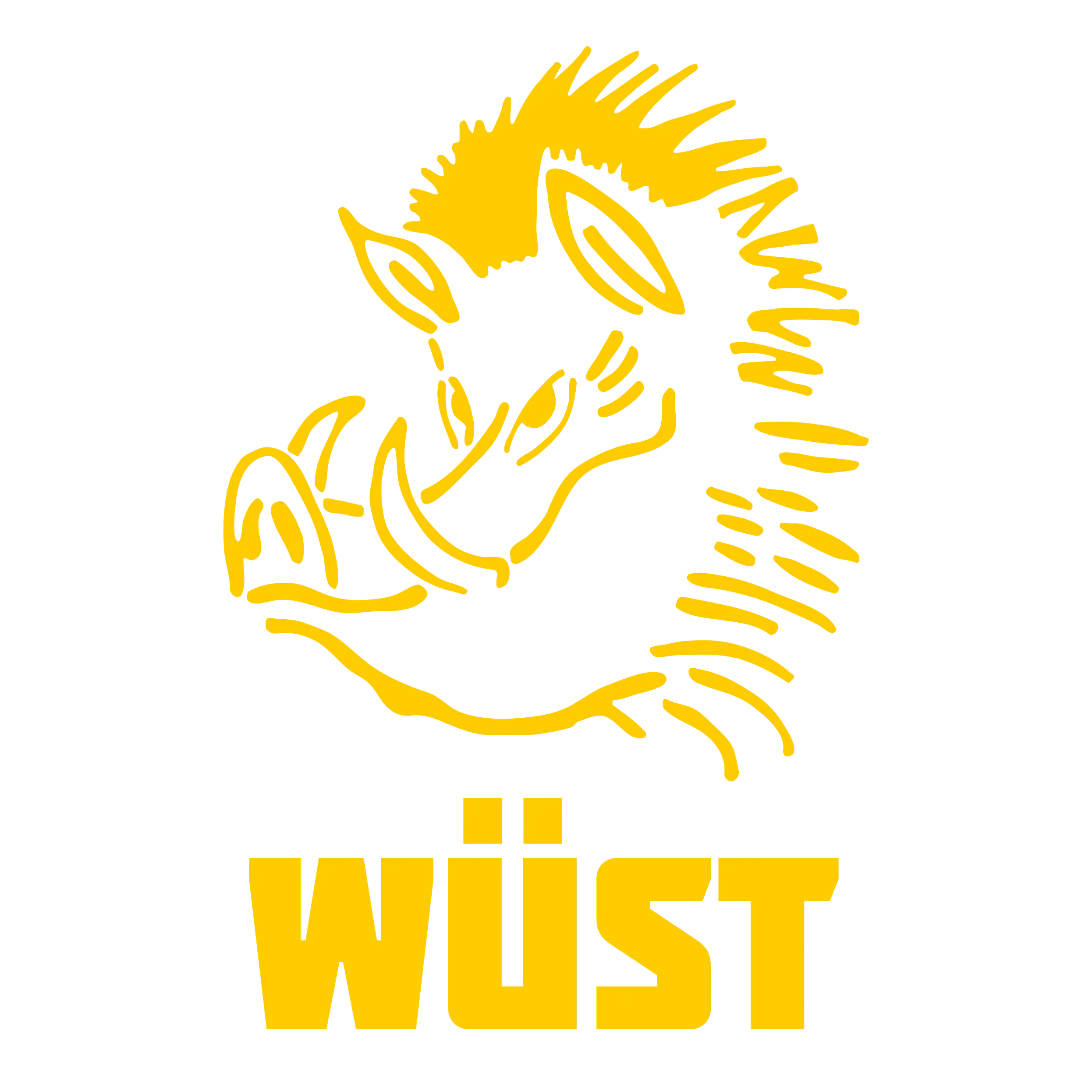 Logo WÜST MASCHINEN + FAHRZEUGBAU AG