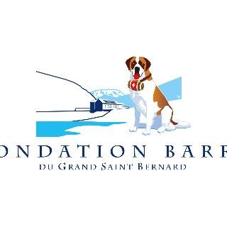 Logo Fondation Barry du Grand-St-Bernard