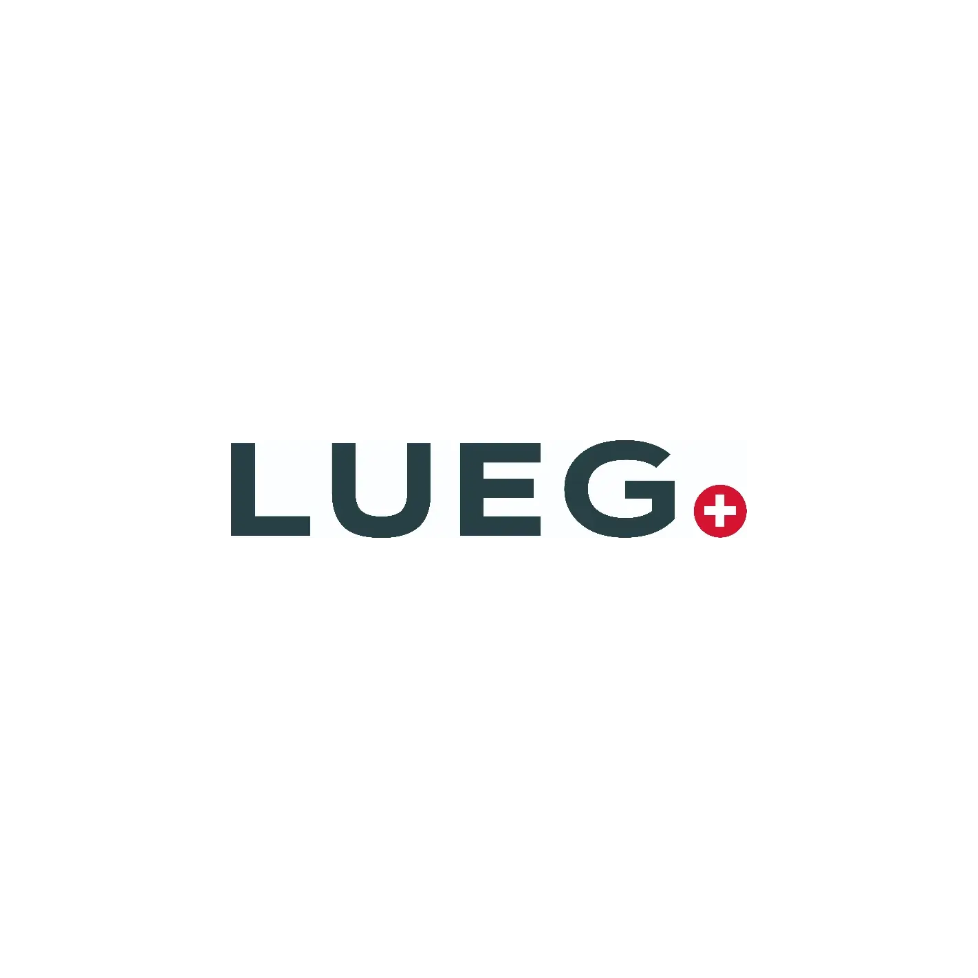 Logo LUEG AG