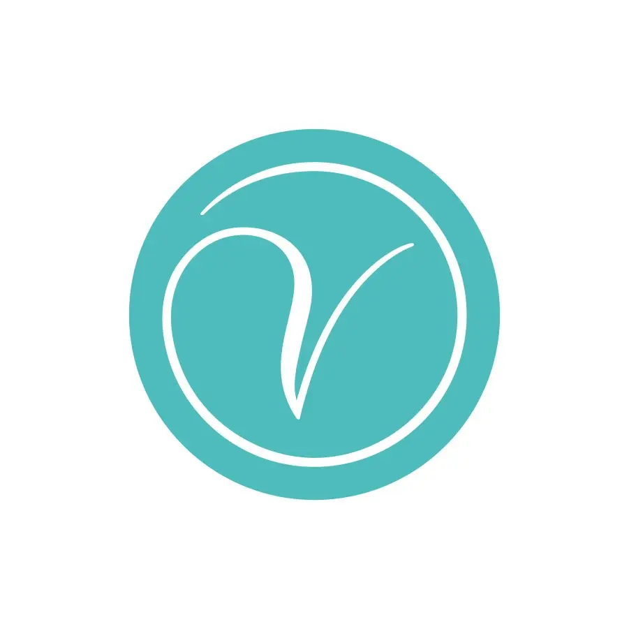 Logo Vision Management Services GmbH