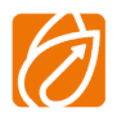 Logo Düring Schweiz AG