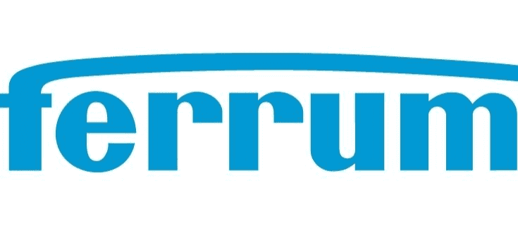 Logo Ferrum Management Services AG