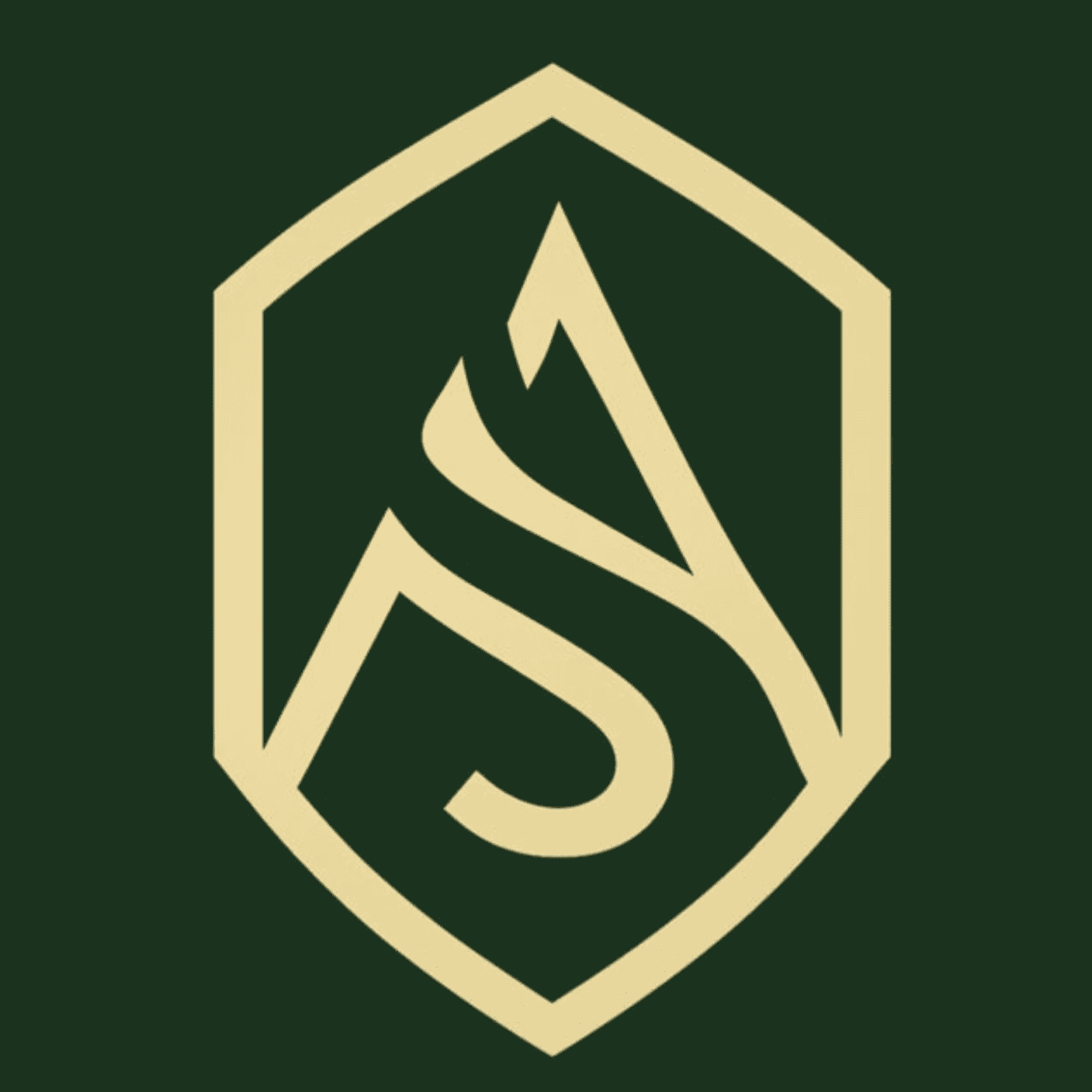 Logo Auto Salon Volketswil AG