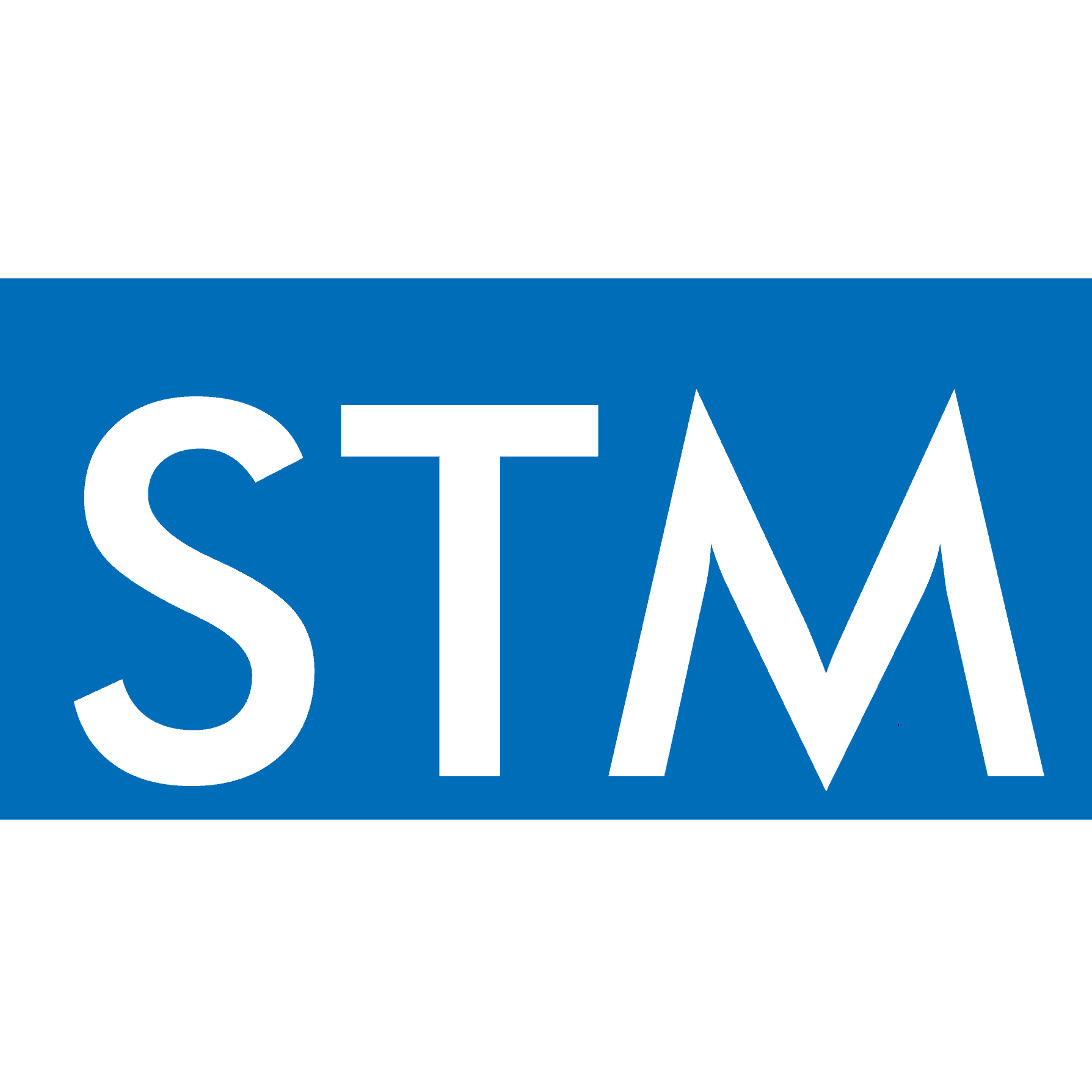 Logo STM Steuerberatung & Treuhand Mettler AG