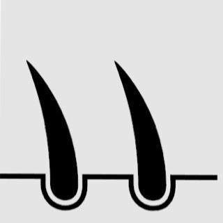 Logo Swiss Hair Life GmbH
