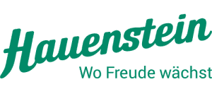Logo Hauenstein AG