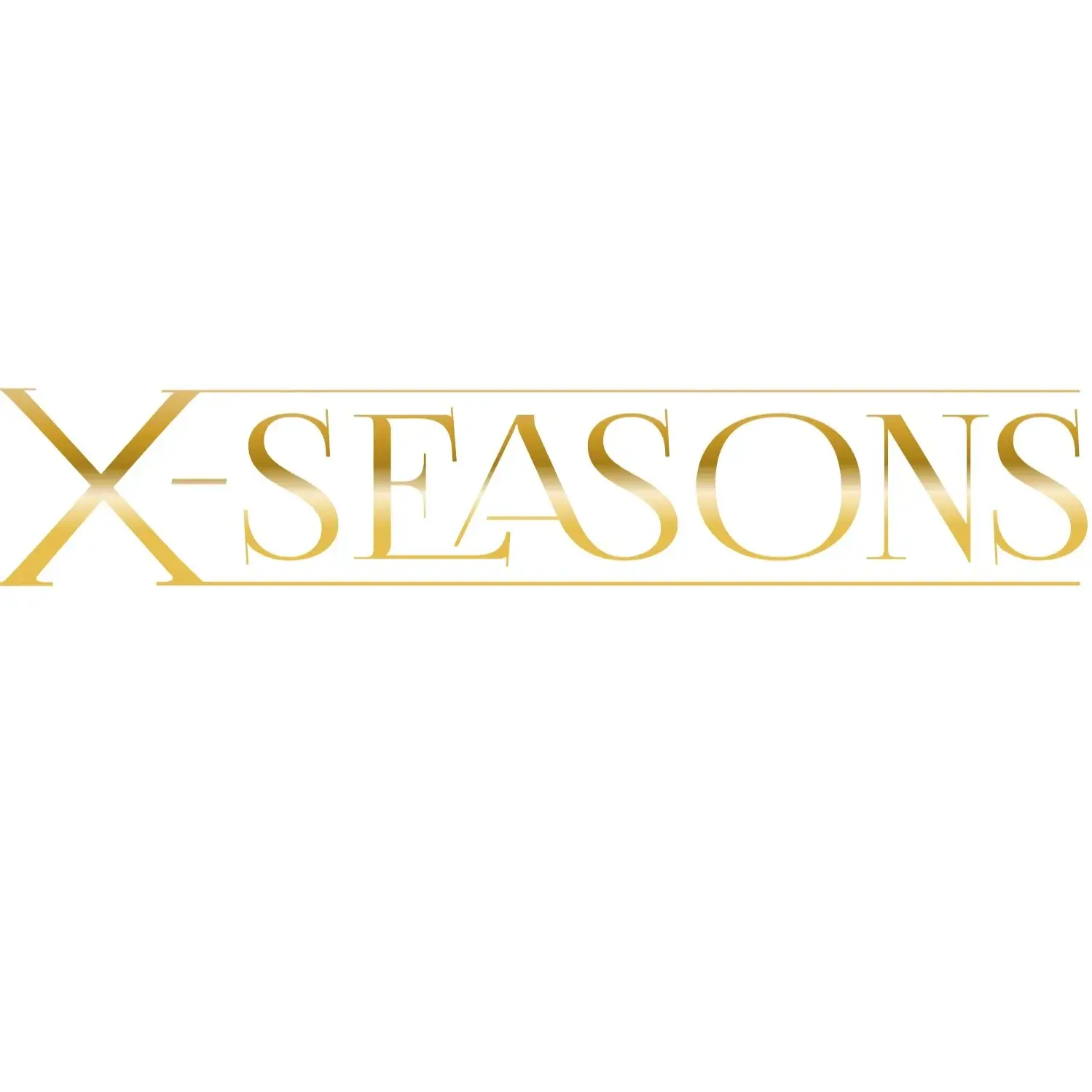Logo X-SEASONS GROUP AG
