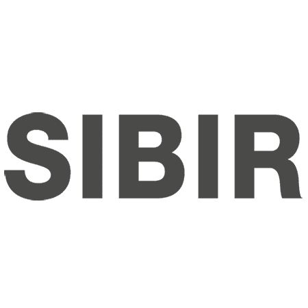 Logo SIBIRGroup AG