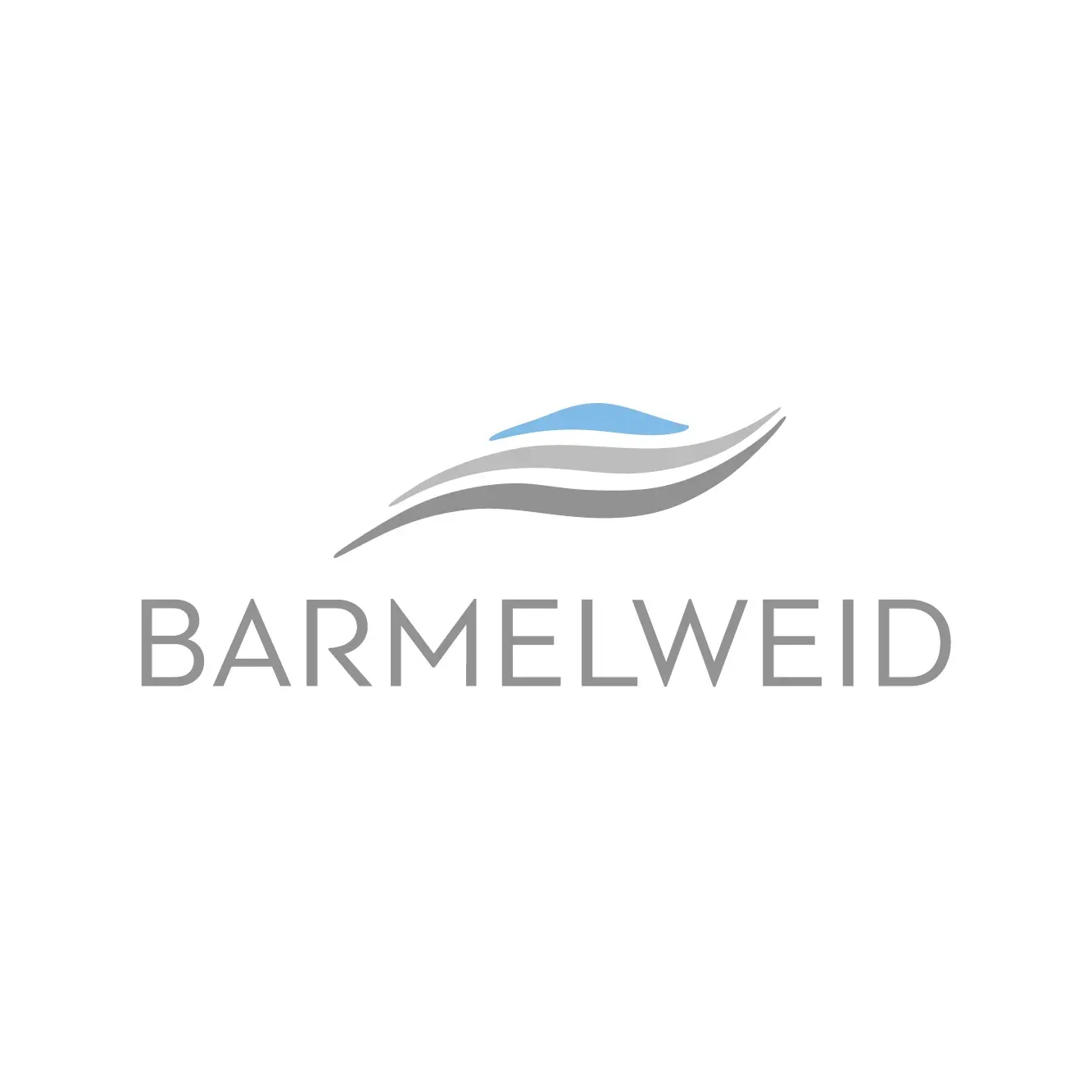 Logo Barmelweid Gruppe AG