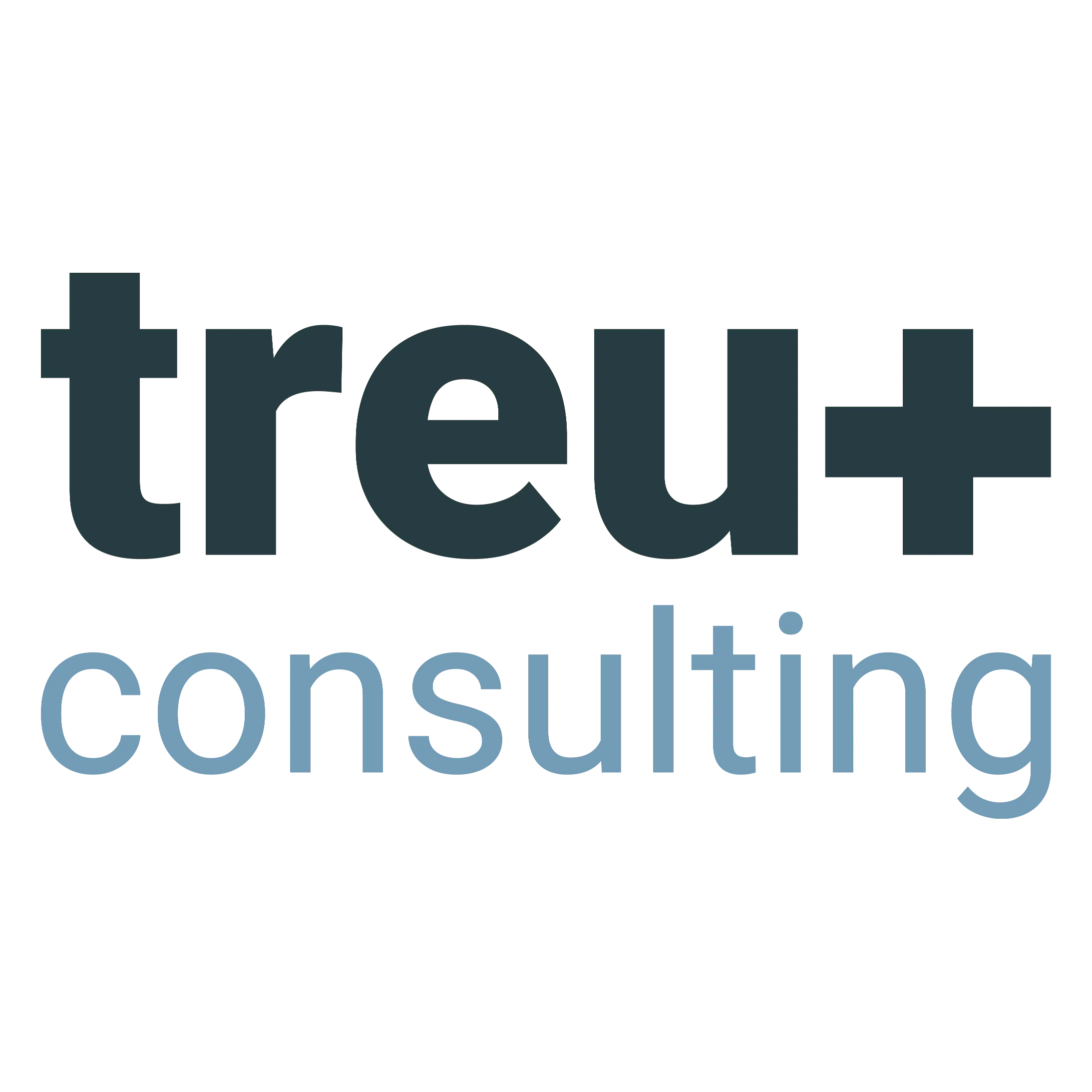 Logo treuplus consulting gmbh