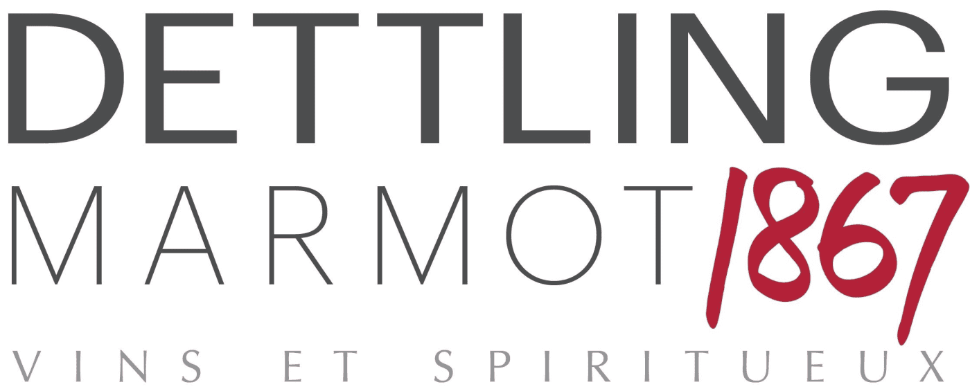Logo Dettling & Marmot AG