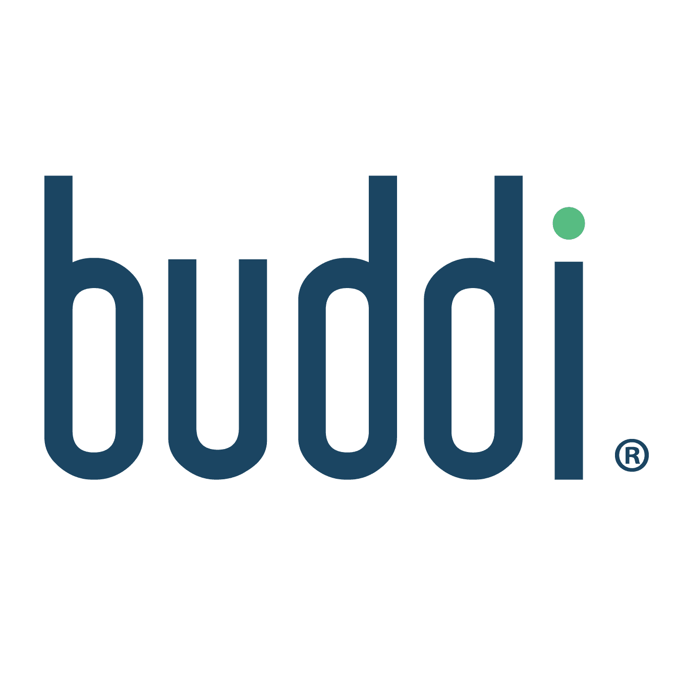 Logo Buddi SA