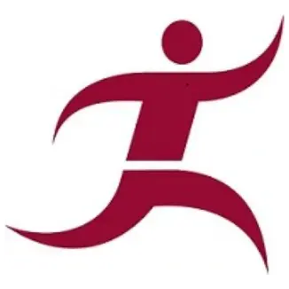 Logo biericonsulting gmbh