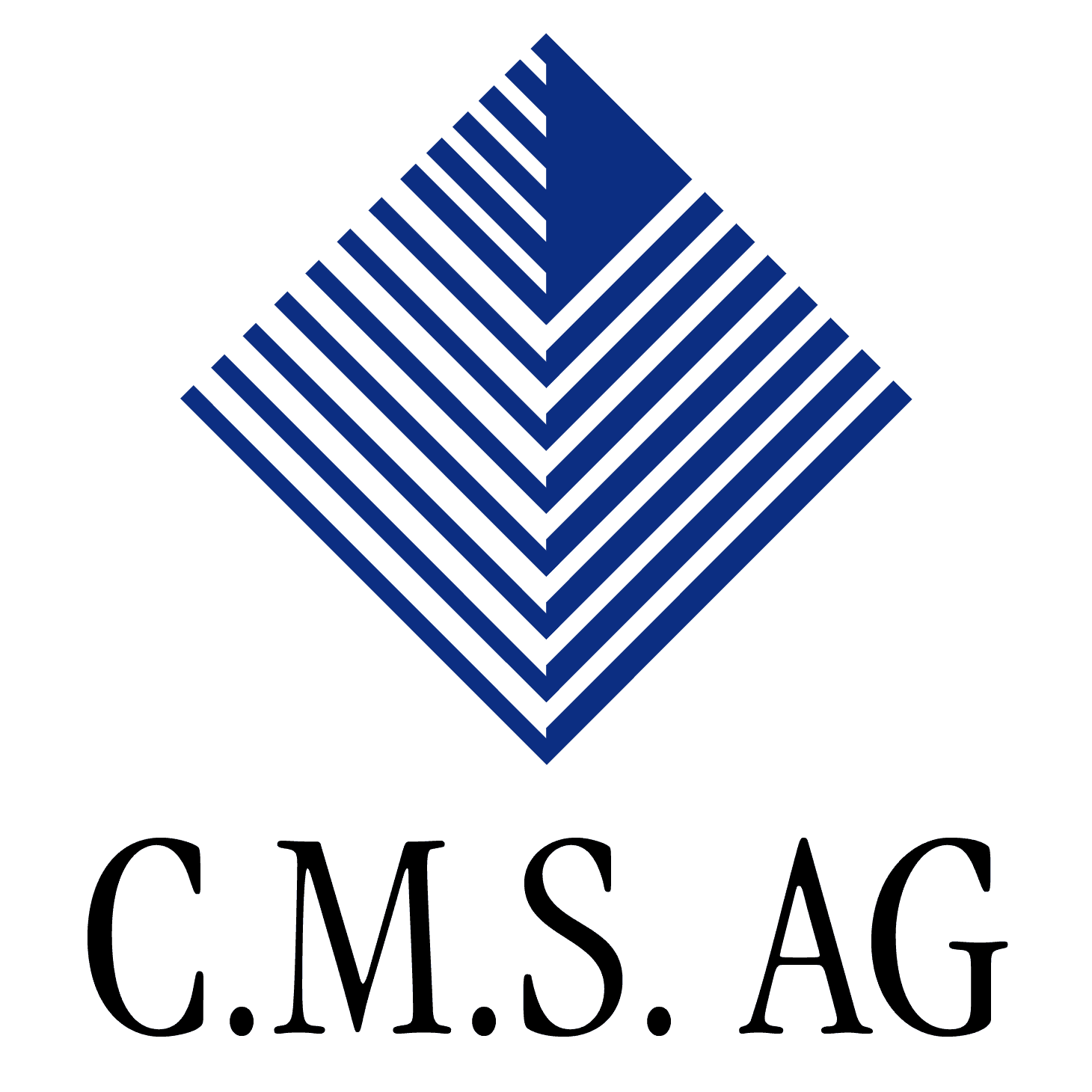 Logo Corporate Management Selection C.M.S. AG