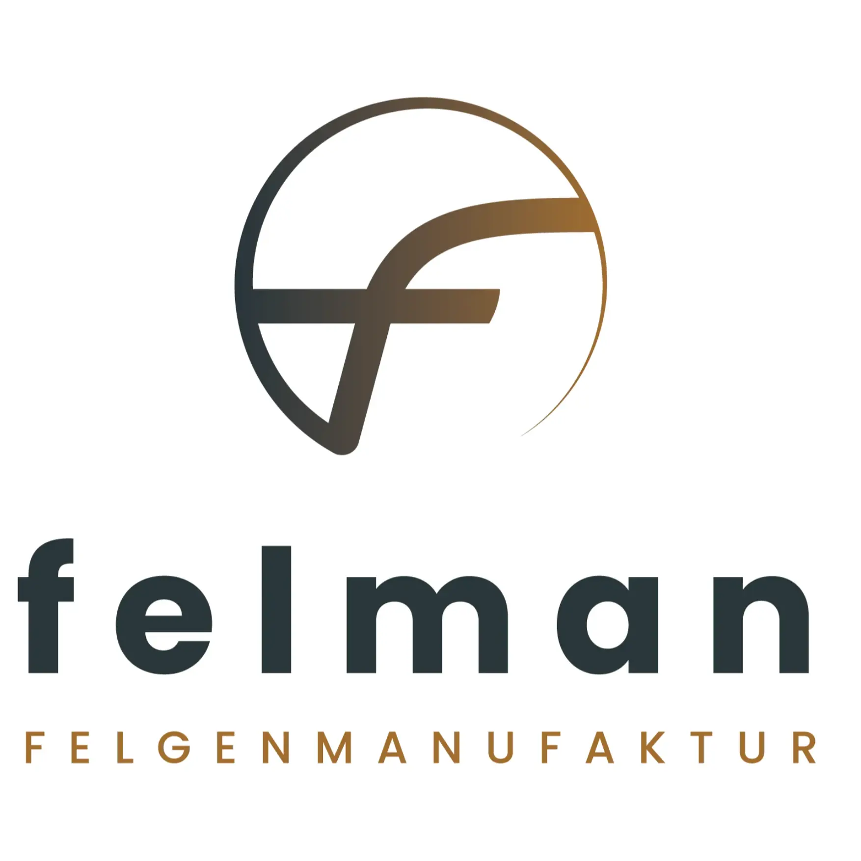 Logo Felman AG
