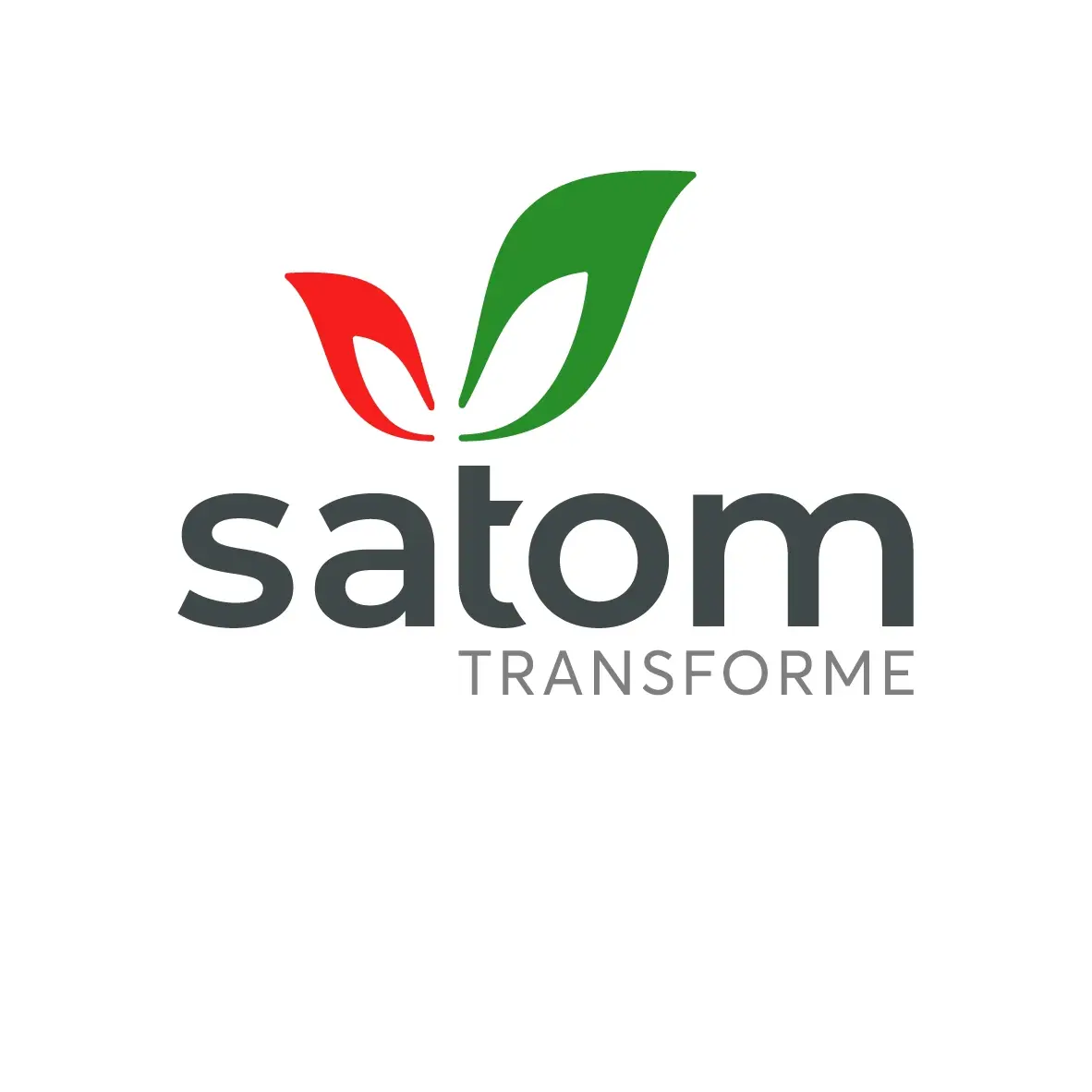 Logo Satom SA