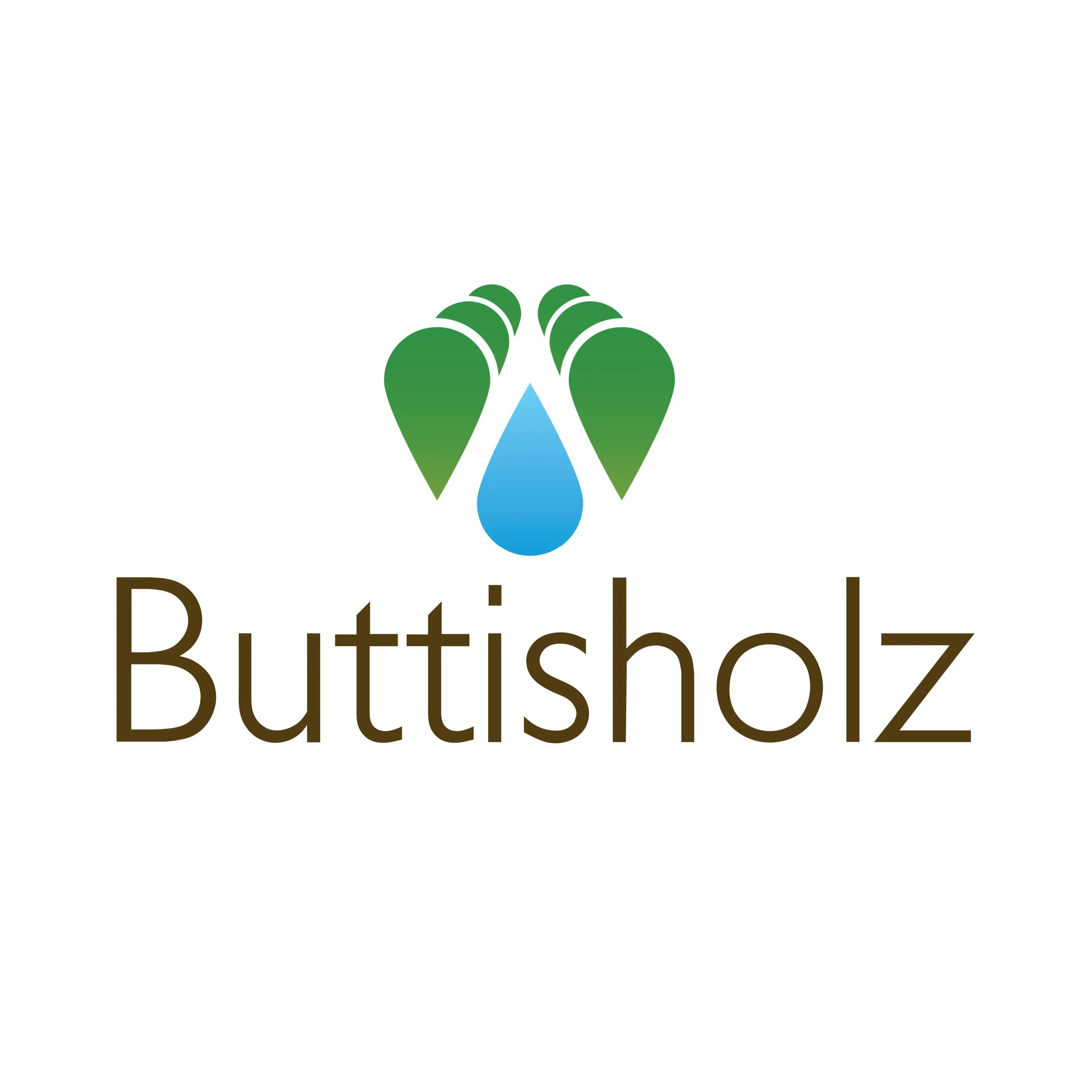 Logo Gemeinde Buttisholz