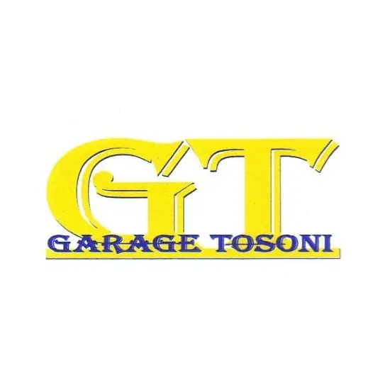 Logo GARAGE TOSONI