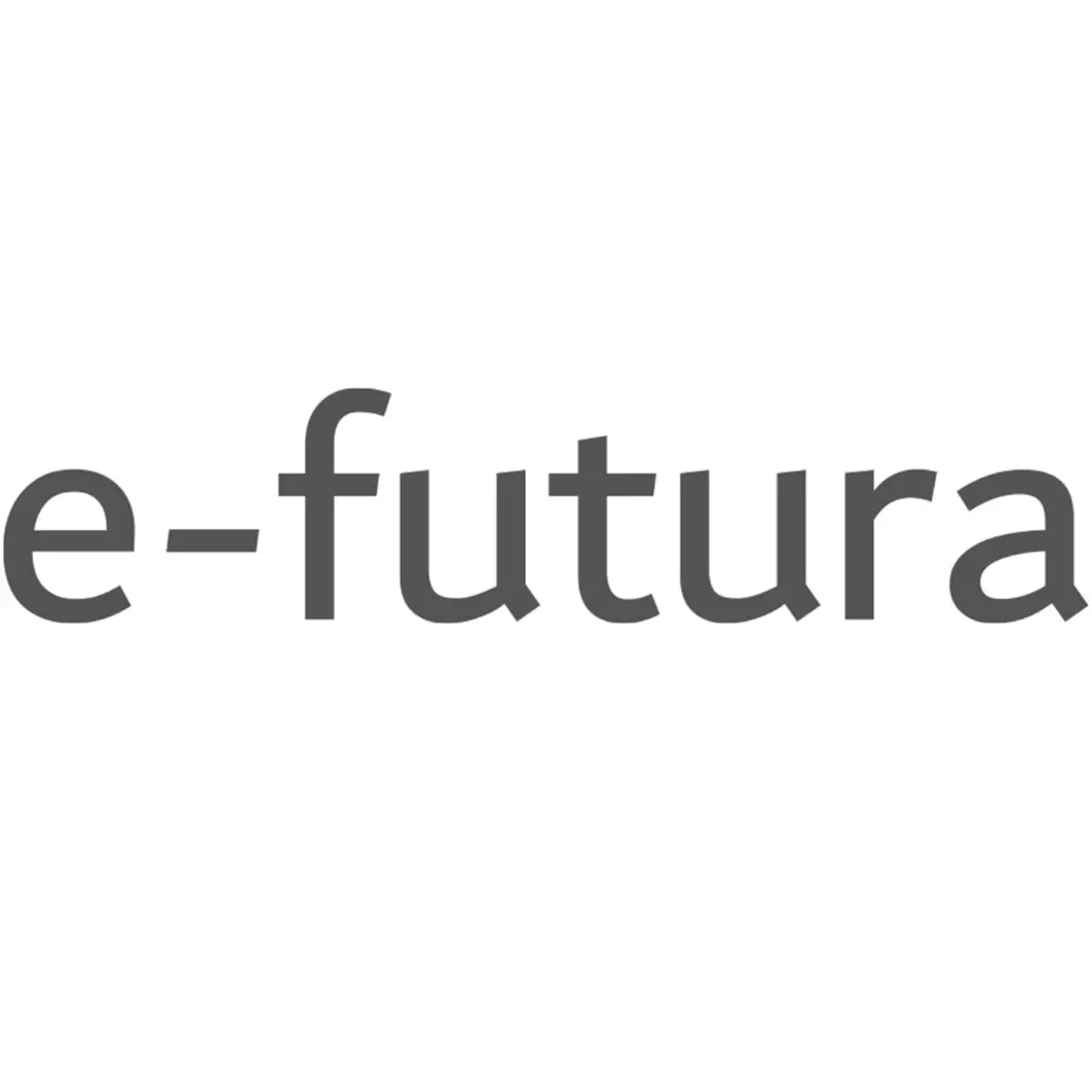 Logo e-futura GmbH