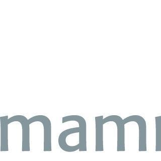 Logo Mammut Soft Computing AG