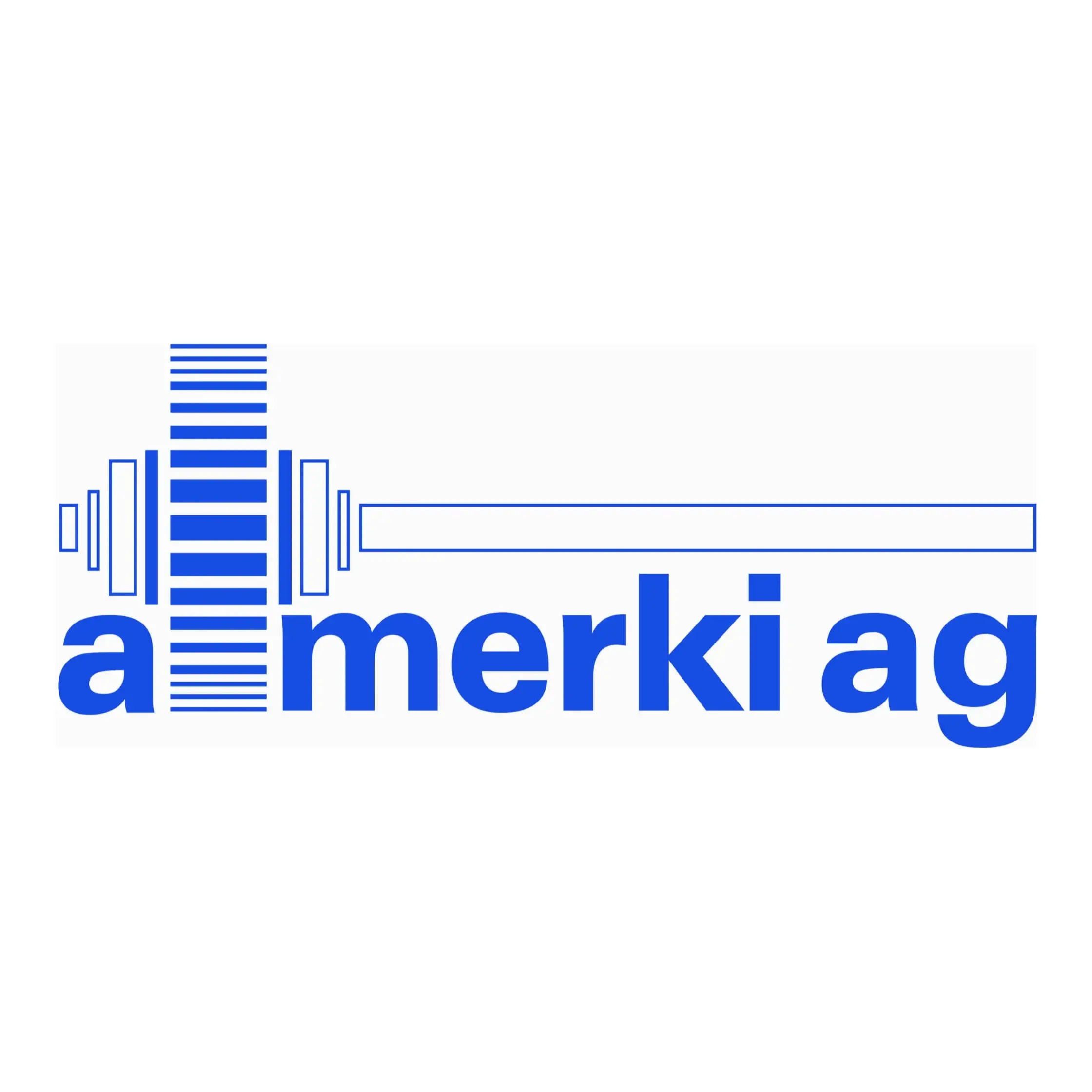 Logo A. Merki AG