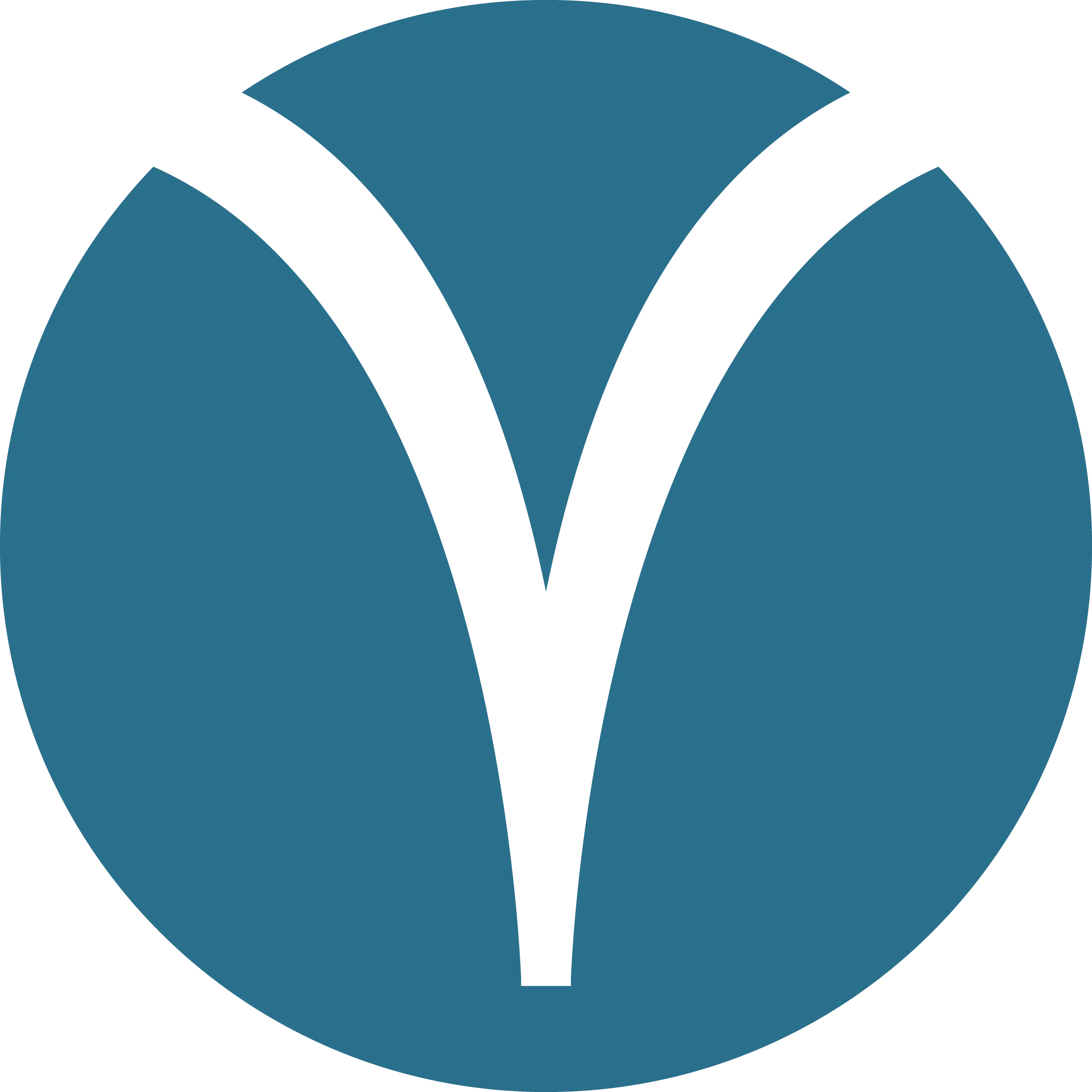 Logo Virginie Rollin-Stalder
