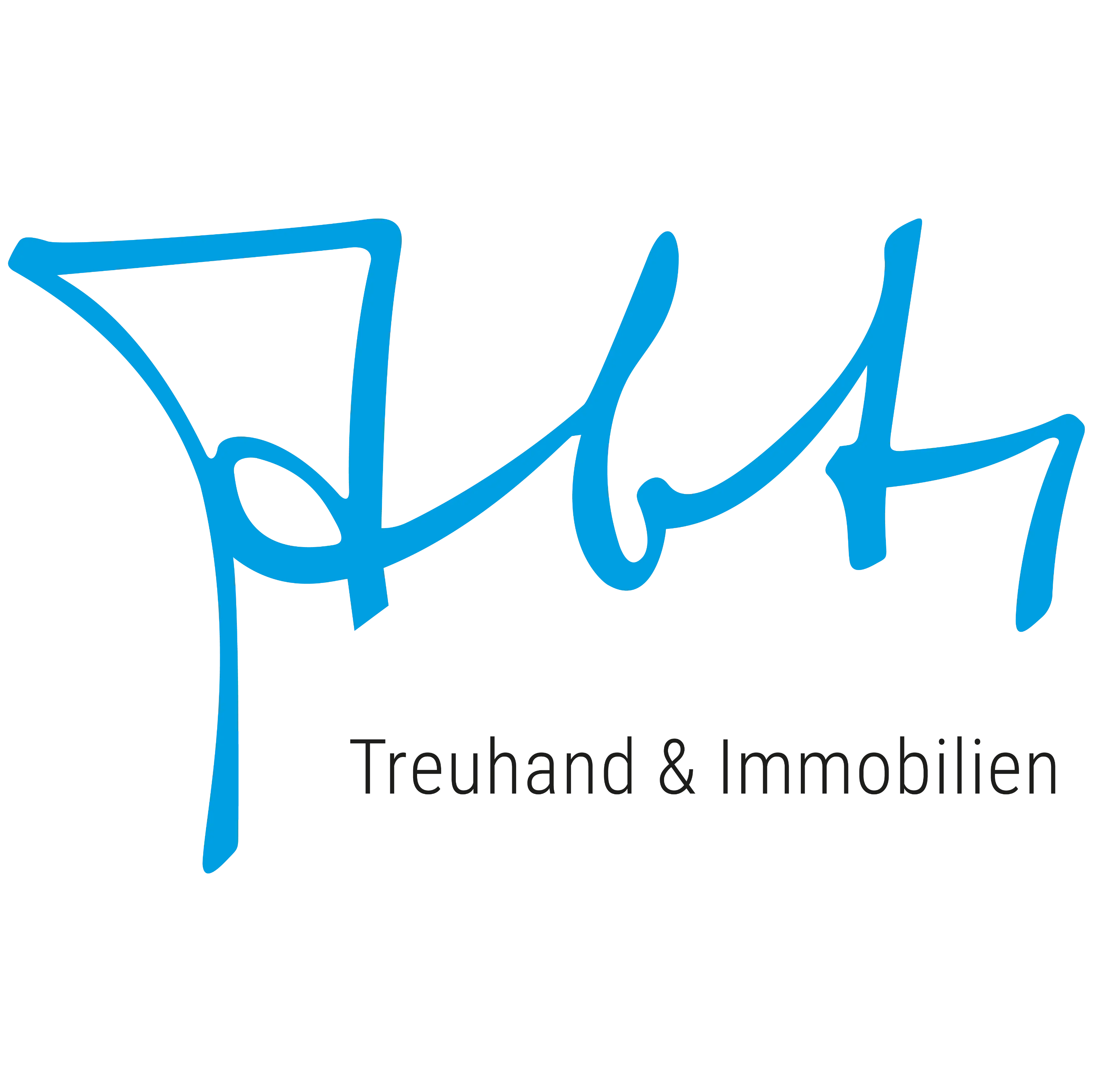 Logo Treuhand & Immobilien Abt AG