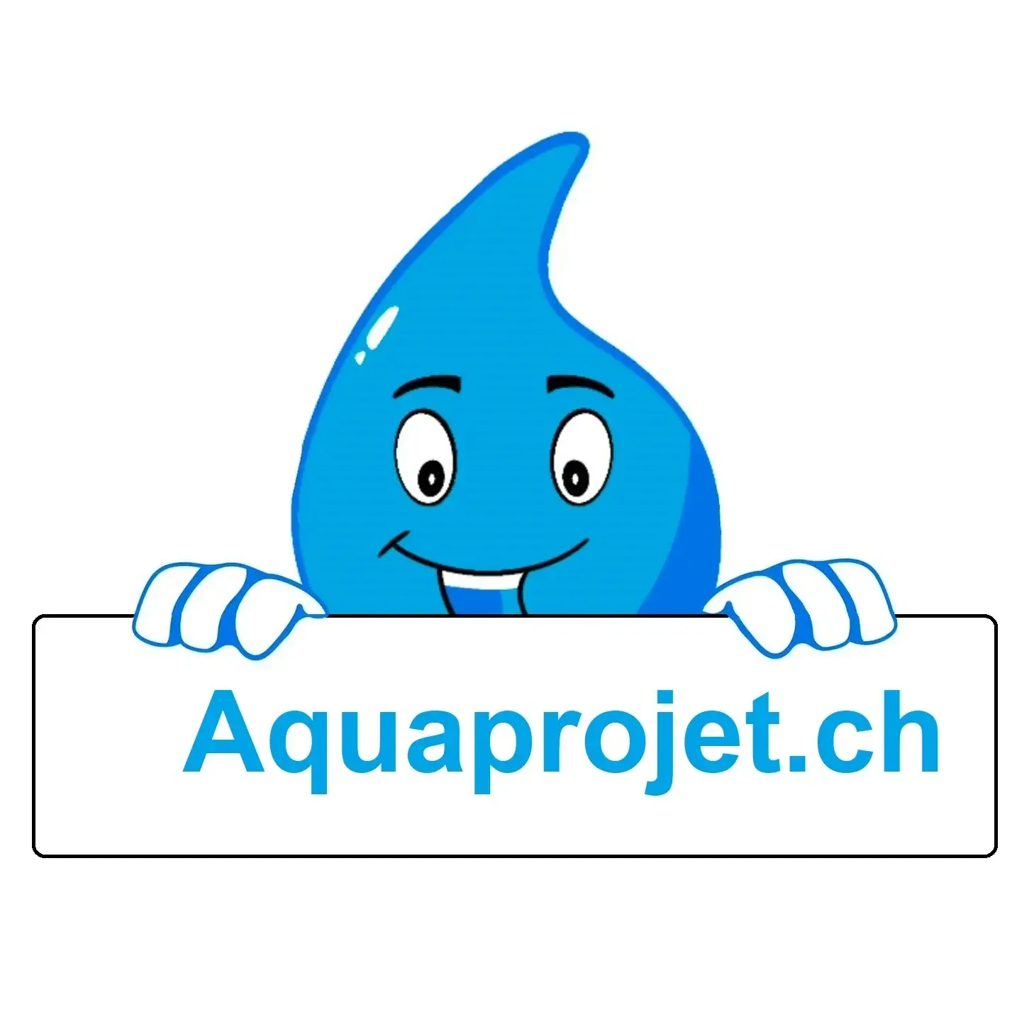 Logo aquaprojet.ch, Domingues Silva Miguel conseils et services