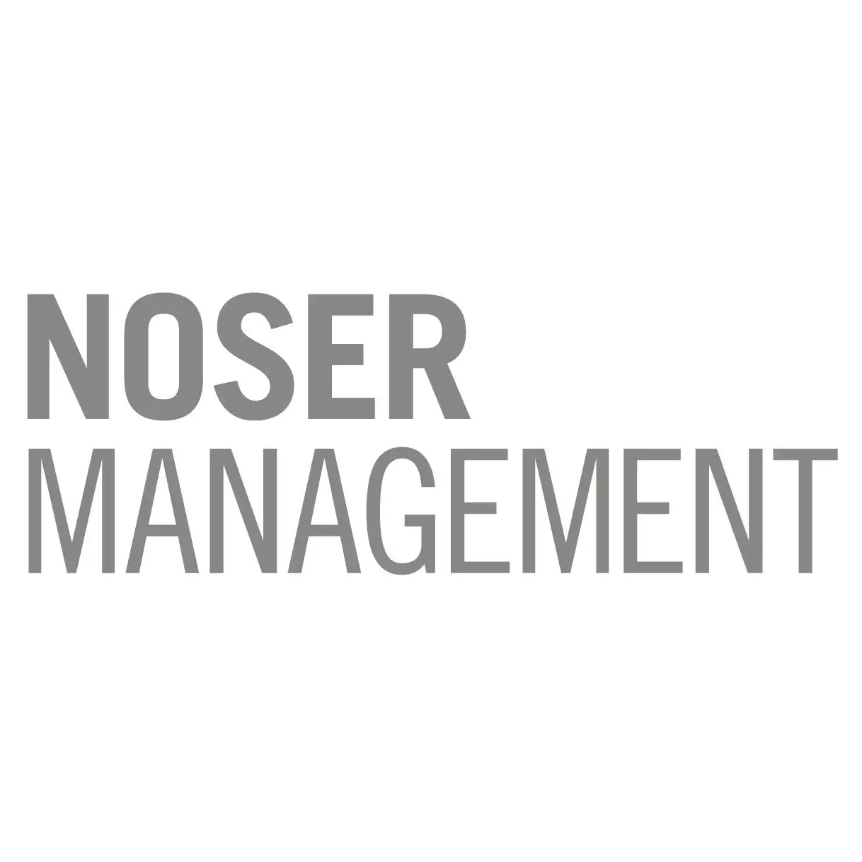 Logo Noser Management AG