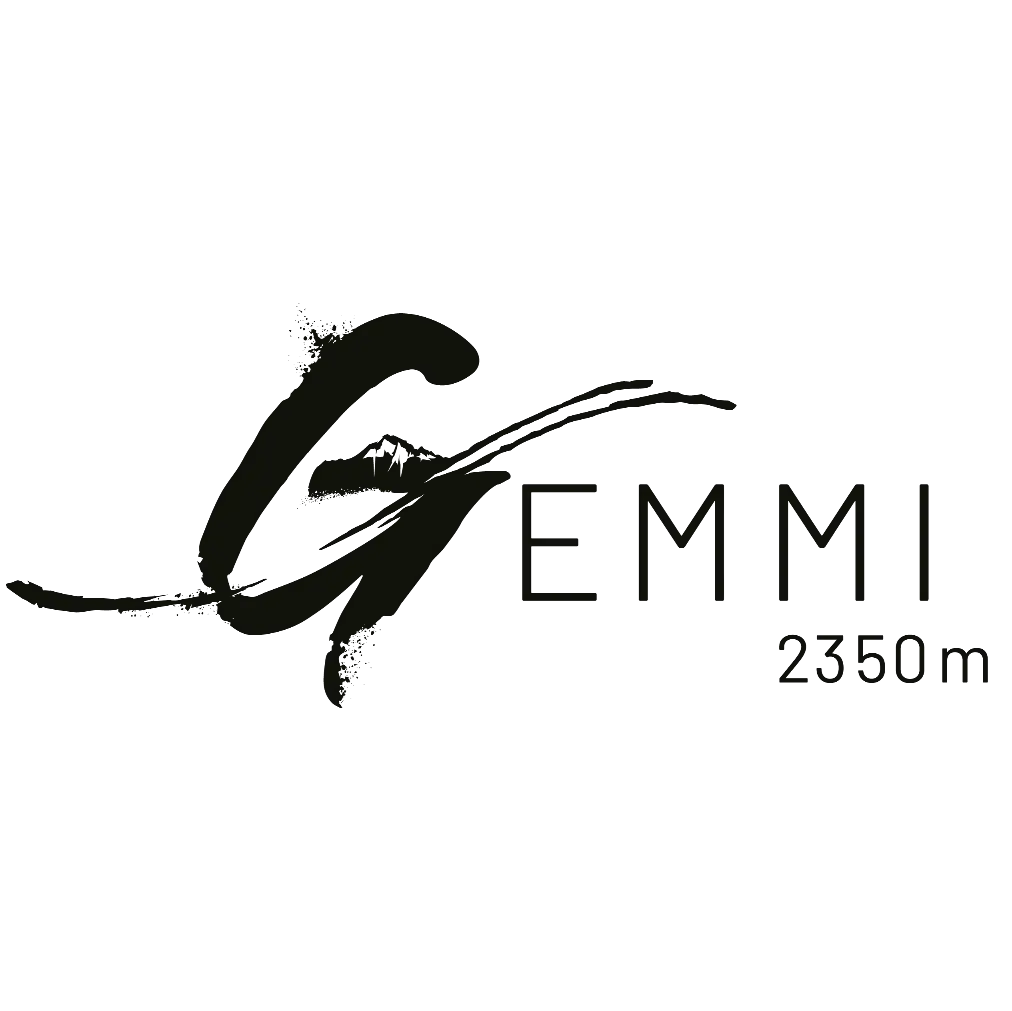 Logo Gemmi Holding AG