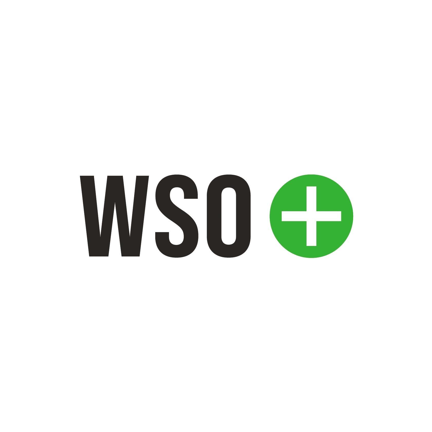 Logo Willy Schneider AG