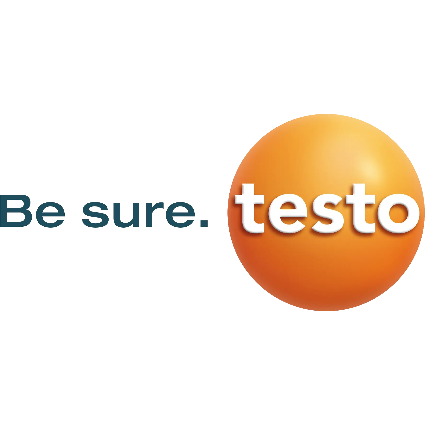 Logo Testo Industrial Services AG