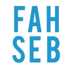 Logo Fondation FAH-SEB