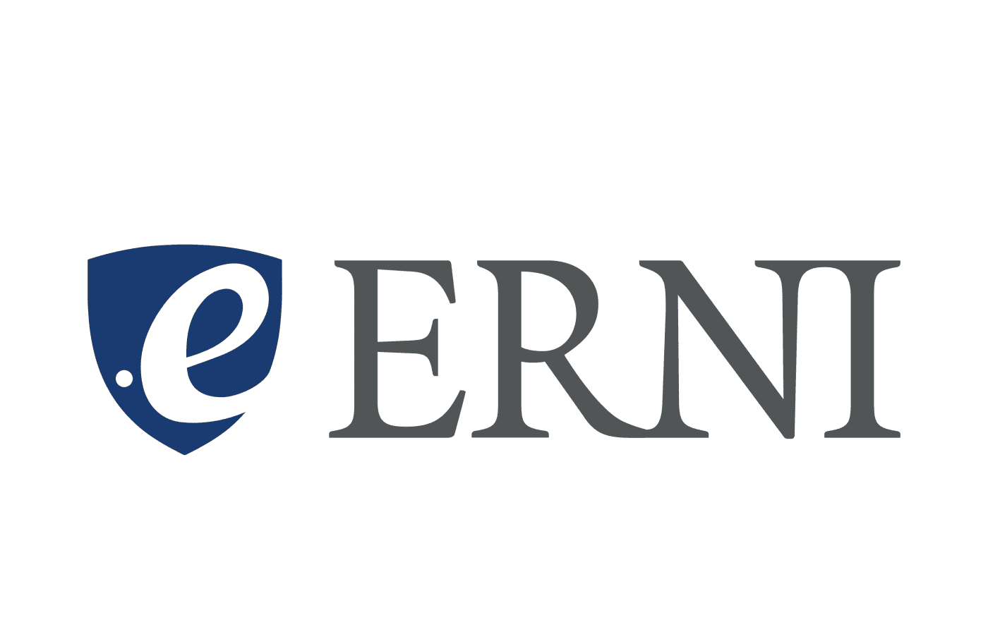 Logo Erni Schweiz AG