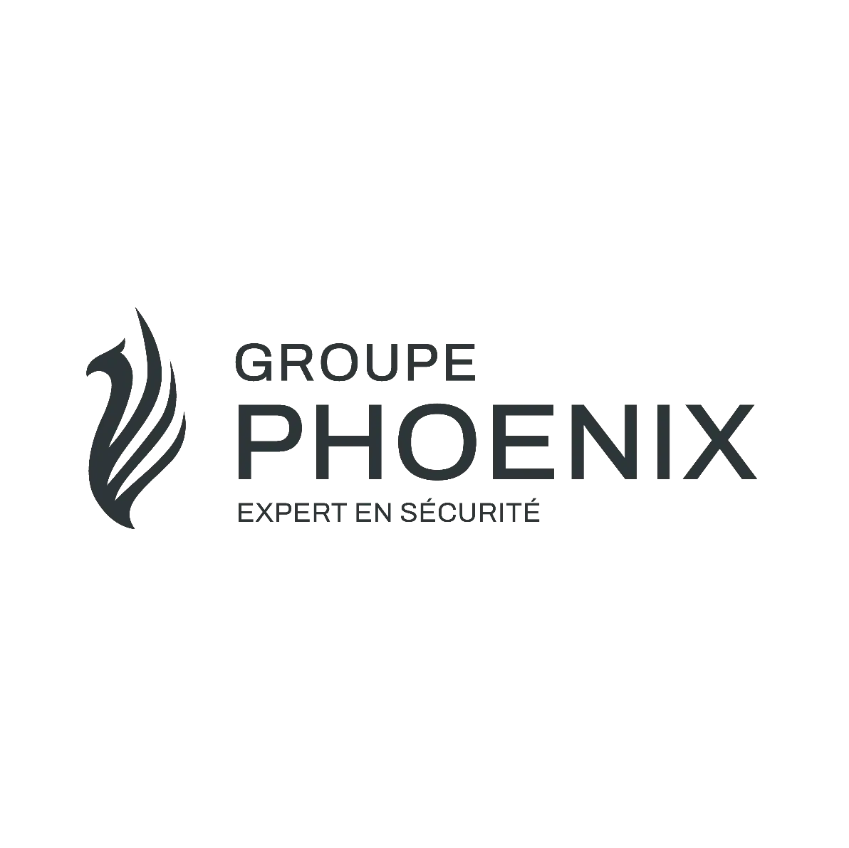Logo Phoenix Security Sàrl