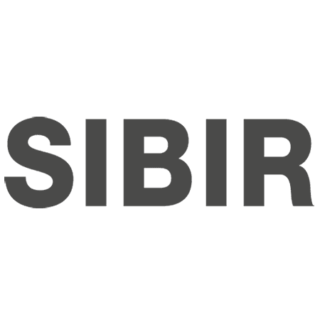 Logo SIBIRGroup AG