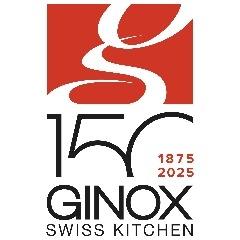 Logo Ginox SA
