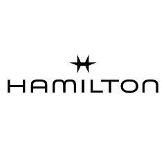 Logo Hamilton International AG