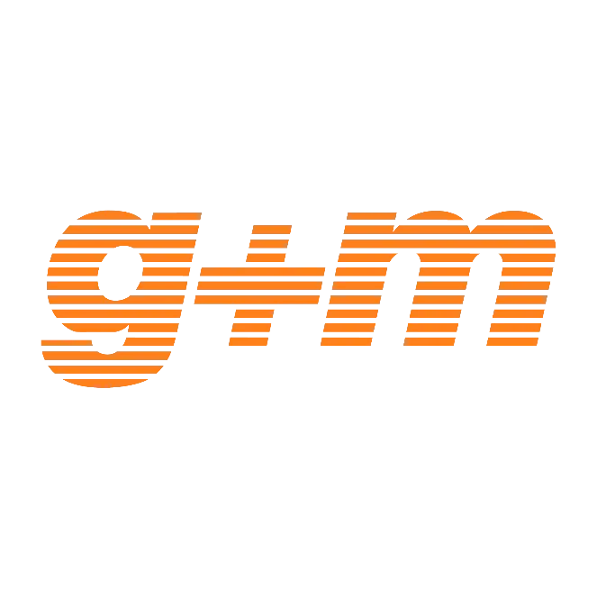 G+M Elektronik AG