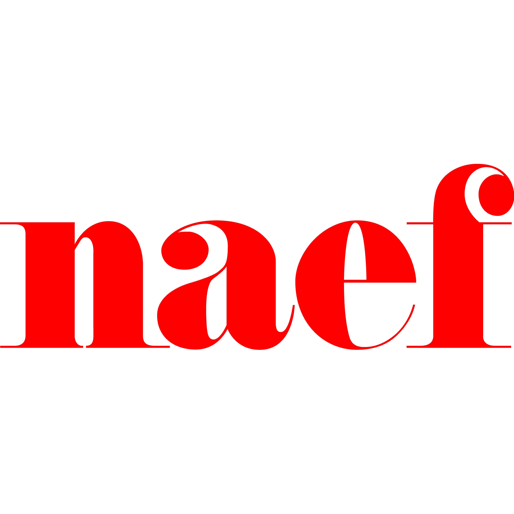 Logo Naef Holding SA