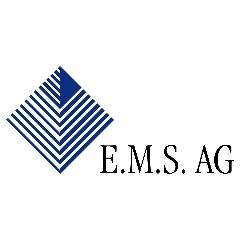 Logo Engineering Management Selection E.M.S. AG