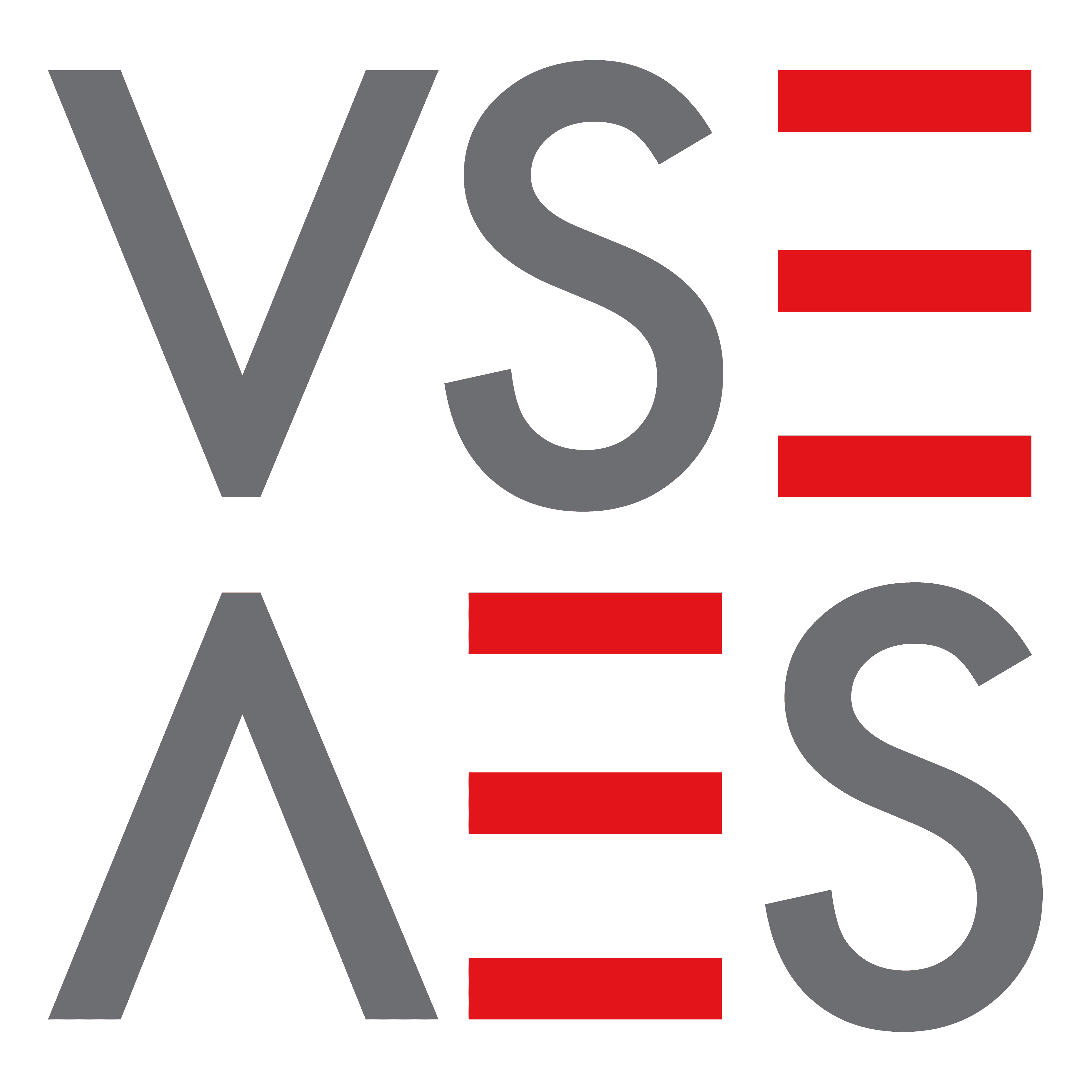 Logo Verband Schweizerischer Elektrizitätsunternehmen (VSE)