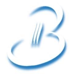 Logo BDI SYSTEM SA