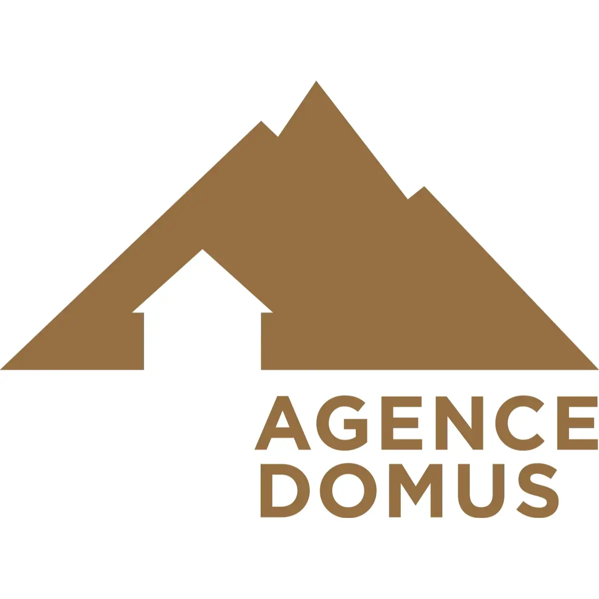 Logo Agence Domus SA